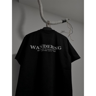 áo Wandering basic tee 01