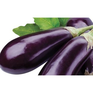 Gói 0.5GR hạt giống Cà Tím Cao Sản No 1