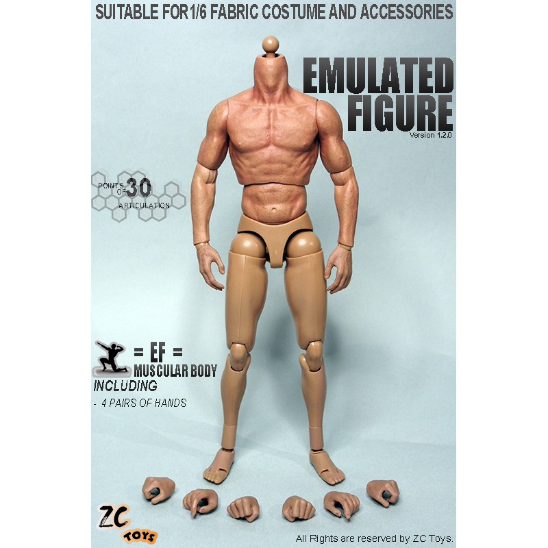 Mô Hình Cơ Thể Người Sói ZCtoys S001 / S002 12 "Tỉ Lệ 1: 6