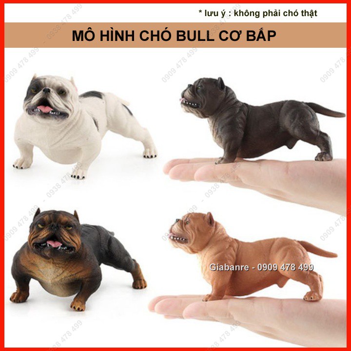 Mô Hình Chó Bull Mặt Xệ Cơ Bắp Giang Hồ - 4680