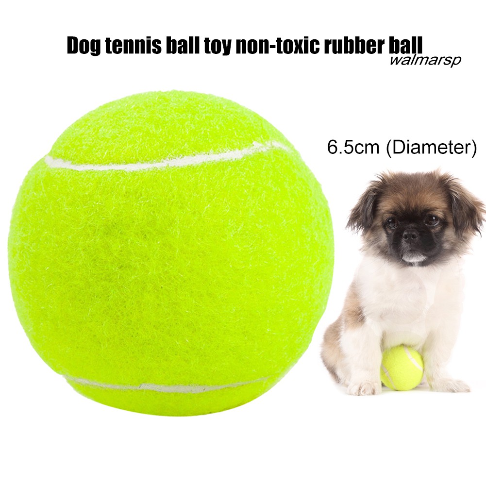 Bóng tennis 6.5cm bằng cao su không độc hại dùng huấn luyện cho thú cưng