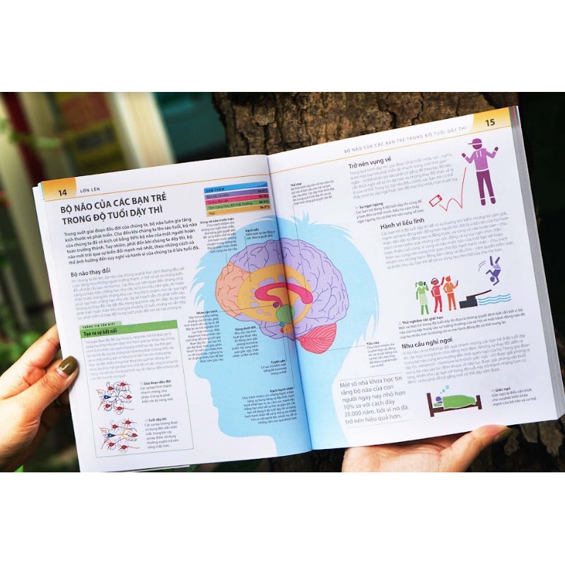SÁCH - Bách khoa thư về phát triển kỹ năng - Tuổi dậy thì
