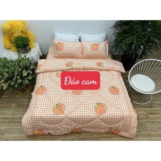 [set 4 món]Bộ Chăn phao kèm ga gối cotton poly 2mx2m2,y hình được chọn mẫu,HỌA TIẾT ĐÀO CAM