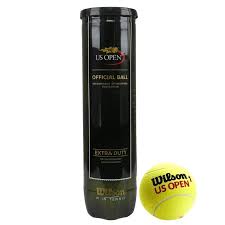 Hộp Bóng TENNIS WILSON
