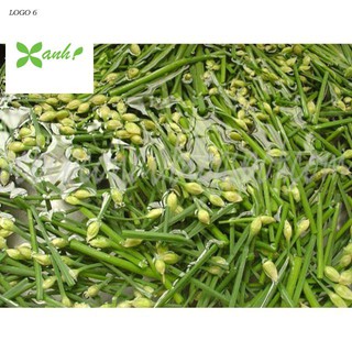 hạt giống Hẹ Ta 5Gram khoảng 50 hạt