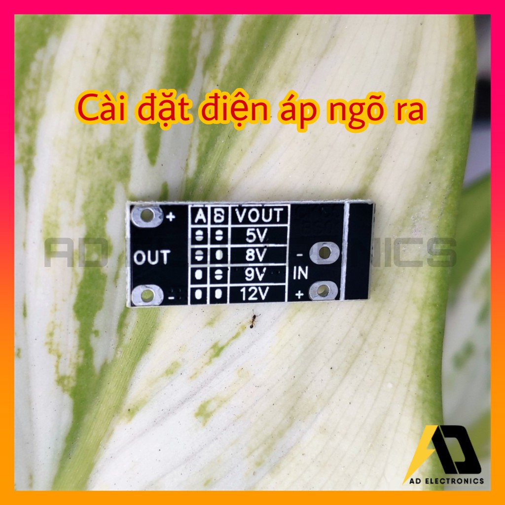 [CKCS] Mạch tăng áp mini DC - DC 3V/3.7V/4.2V sang 5V - 12V Chất Lượng Cao Tuỳ Chọn