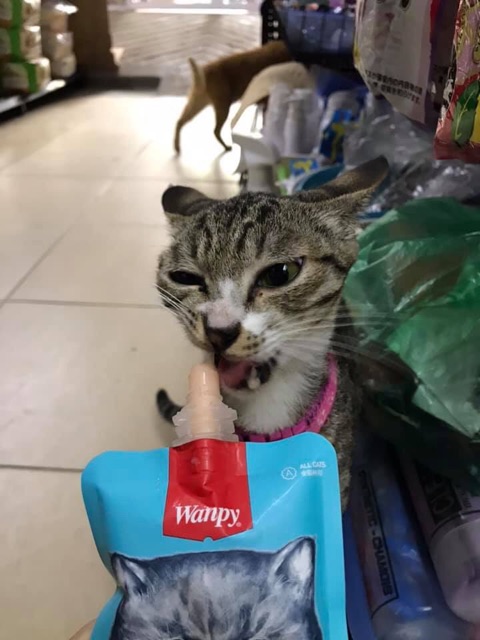 Sup dinh dưỡng Wanpy NẮP VẶN cho mèo