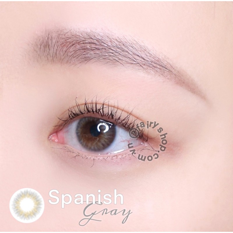 Áp tròng Spanish Gray 14.0mm - Kính Áp Tròng FAIRY SHOP CONTACT LENS độ cận 0 đến 8