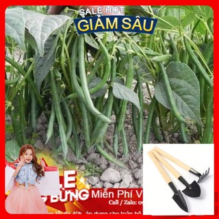Hạt Giống Đậu Cove Lùn - 50 Hạt / Gói - Tặng Kèm Bộ Dụng Cụ Trồng Cây Mini