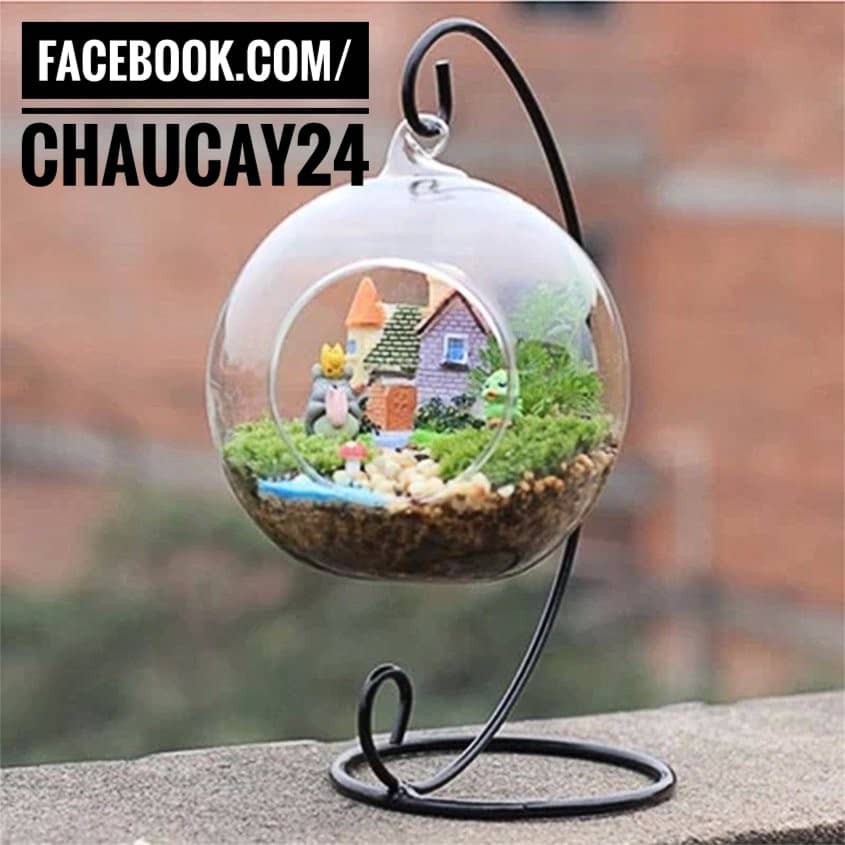 Giá treo kèm chậu thủy tinh 10 cm dùng trang trí terrarium, tiểu cảnh, sen đá, xương rồng