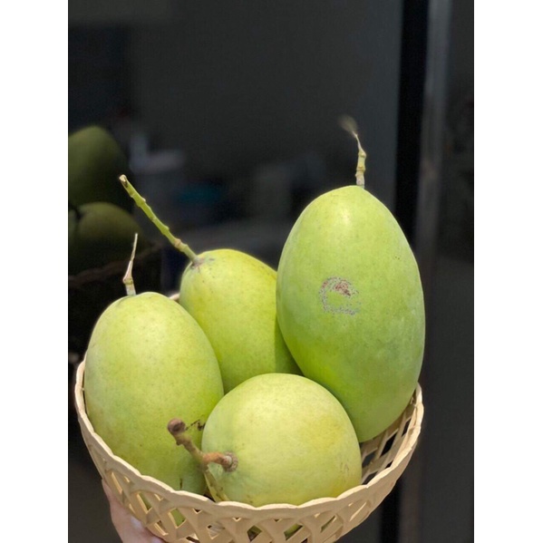 Xoài Cát Hoà Lộc Vip Trái 500g Bao Ngọt Thơm - Giao Tận Nơi