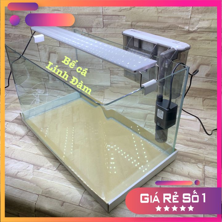 Bể Cá Chữ Nhật 50cm Kính Đúc Bo Góc Đẹp - Bể Cá Mini Dài 50cm