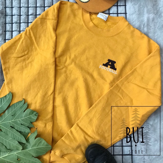 Áo Sweater Mỹ 