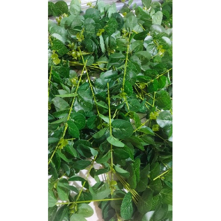 LÁ TÁO GIẢ. LOẠI 1 NHÁNH .MÀU SẮC XANH ĐẸP KHÔNG RỤNG .DÙNG CẮM ĐIỂM PHỤ VÀO BÓ HOA SÁP ,BÌNH HOA .