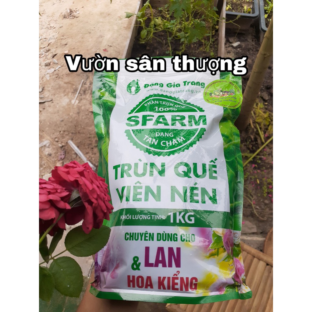 Phân Trùn Quế Viên Nén, Sfarm Đặng Gia Trang Tan Chậm Gói 1 kg Kích Chồi, Tạo Rễ, Hệ Vi Sinh Có Lợi cho Lan, Cây, Hoa