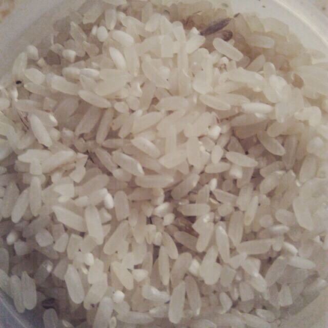 Gạo xát dối