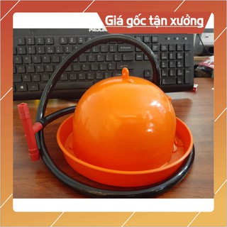 Máng Uống Gà Con - Chim Cút - Vịt - Ngan