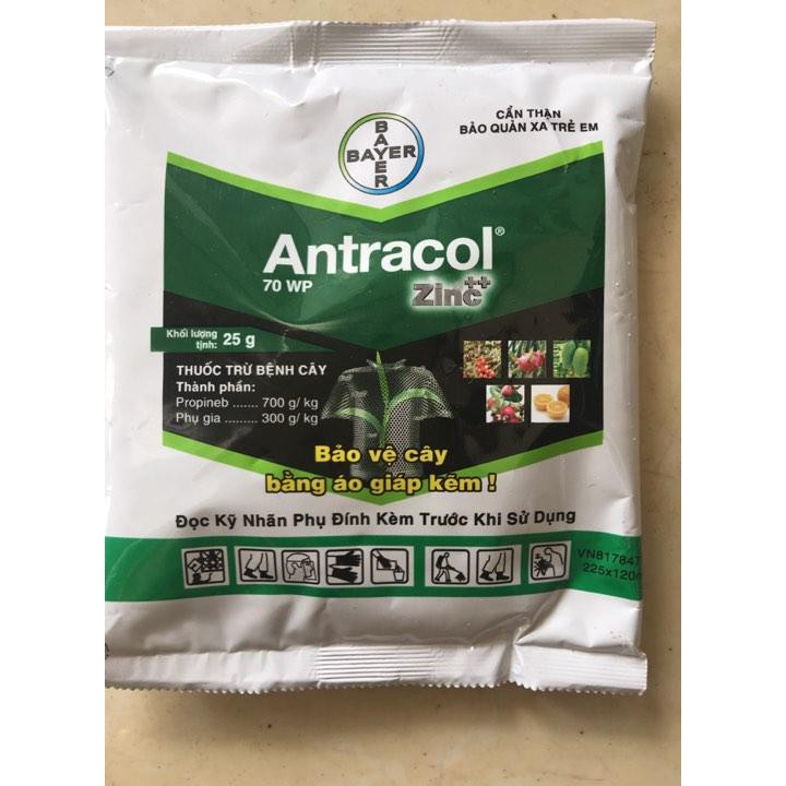 Antracol 70WP 100 gr- Thuốc trị nấm bệnh cho Phong Lan