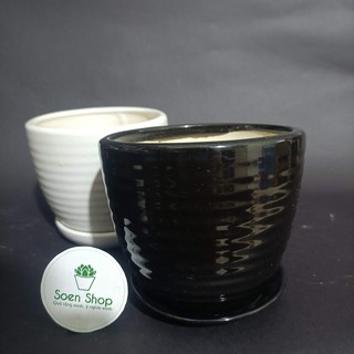 Chậu trồng cây kim tiền, kim ngân, tiểu trâm... - Chậu kẻ ngang liền đĩa