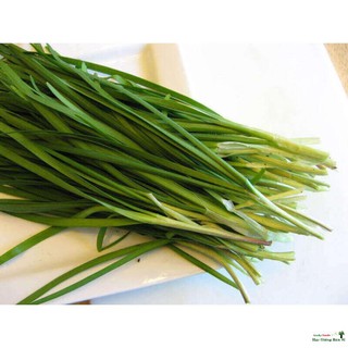Gói 1g hạt giống lá hẹ tây - hẹ sẻ miền Trung loại lá nhỏ cực thơm Luckyy.