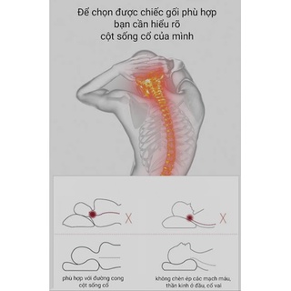 GỐI BẢO VỆ CỘT SỐNG CỔ KÈM VỎ GỐI