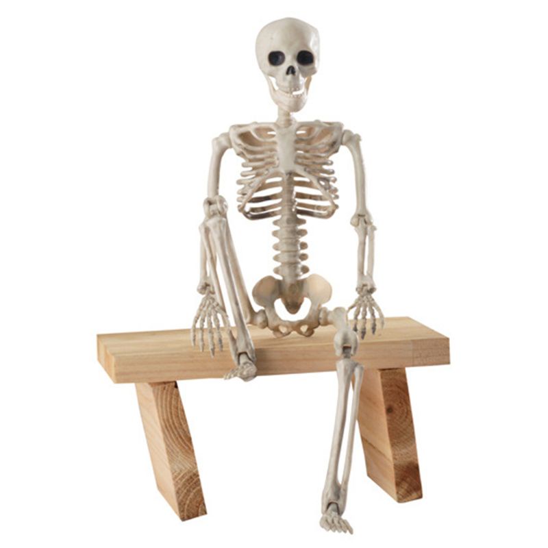 Chua Mô Hình Bộ Xương Người 36cm Sống Động Như Thật Trang Trí halloween