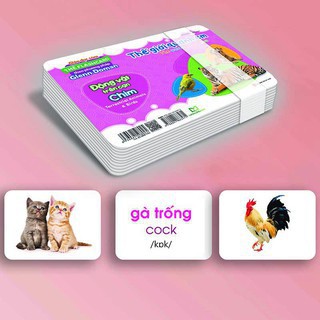 [Có File Nghe] Thẻ Flashcard Theo Phương Pháp Glenn Doman - Thế Giới Quanh Em: Động Vật Trên Cạn - Chim