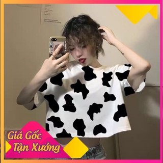 Áo croptop bò sữa hot trend - áo croptop - freeship - áo bò sữa