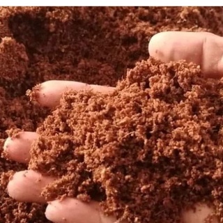 đất nén hữu cơ,đất nén sơ dừa,trồng rau,lan