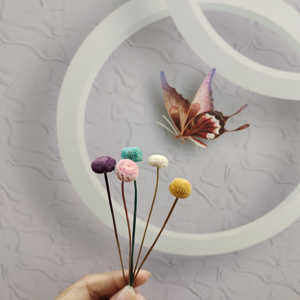 HOA KHÔ DECOR TRANG TRÍ, NGUYÊN LIỆU LÀM THIỆP