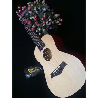 Đàn Ukulele Concert MT39 ( CB3 )