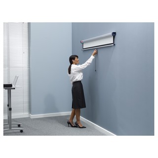Màn chiếu treo tường Eco Screen P96WS