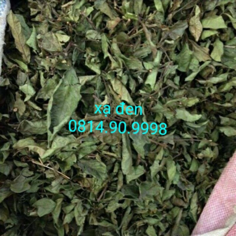 1kg Xạ đen Hòa Bình chuẩn không pha trộn
