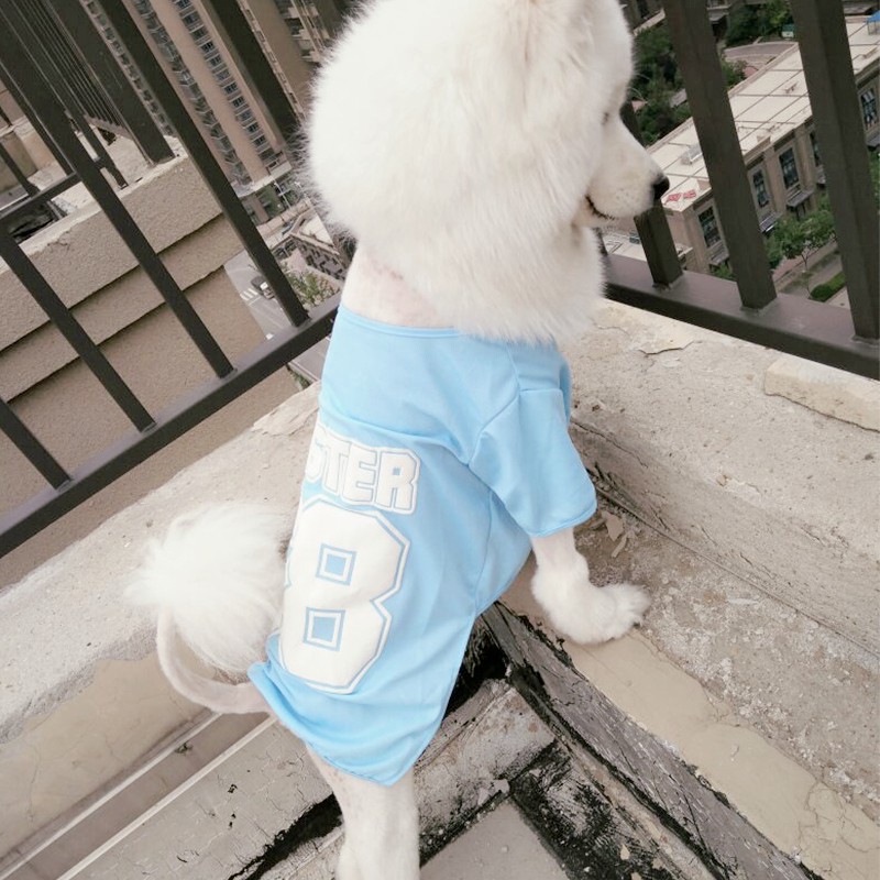 Quần áo cho chó Samoyed Golden Retriever mùa hè Shiba Inu chó trung bình chó lớn