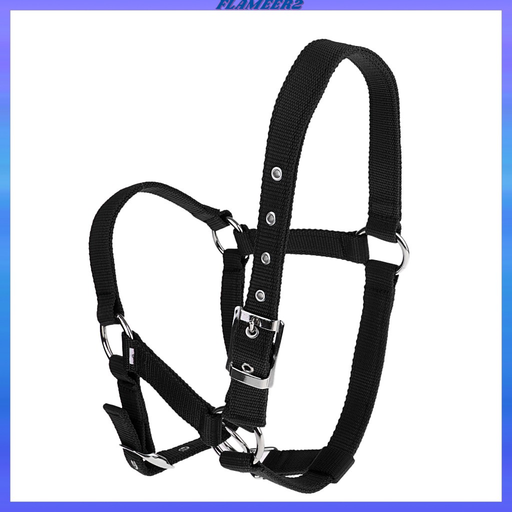 Dây Đeo Ngựa Cưỡi Ngựa Bằng Nylon Có Thể Điều Chỉnh Phong Cách Phương Tây