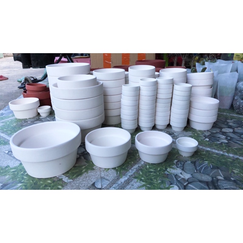 Chậu đất nung trồng sen đá