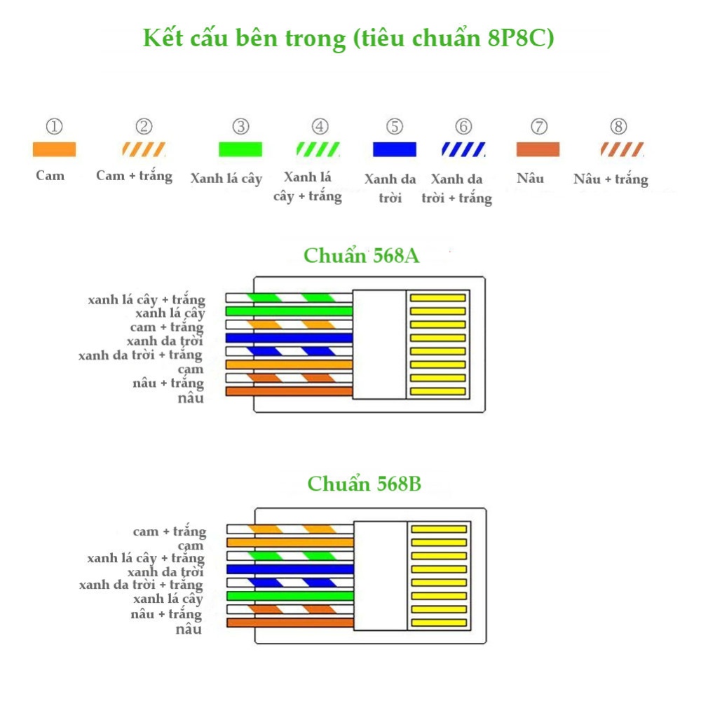 Hộp 50 Chiếc Hạt Mạng RJ45 Cat5e Ugreen 20331 Cao Cấp - Hàng Chính Hãng