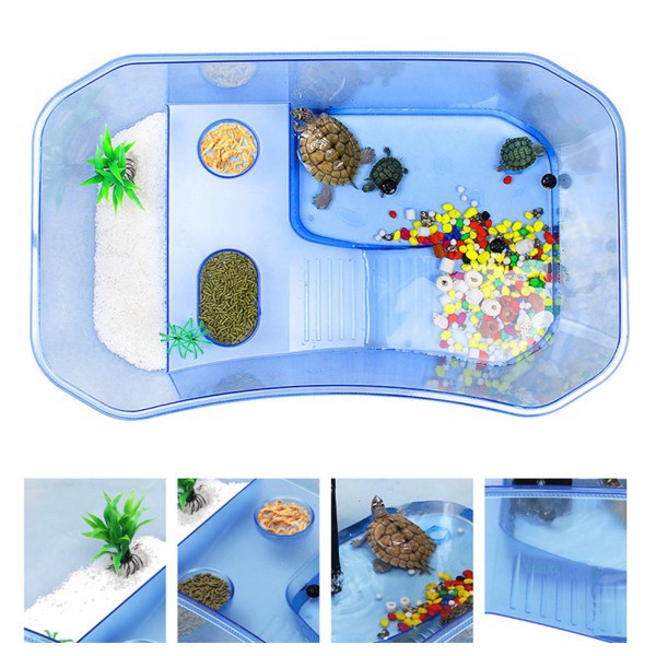 Hộp nuôi rùa bằng nhựa kích thước 40x23x13cm