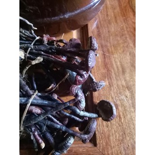 100g Nấm lim xanh rừng Tây Nguyên
