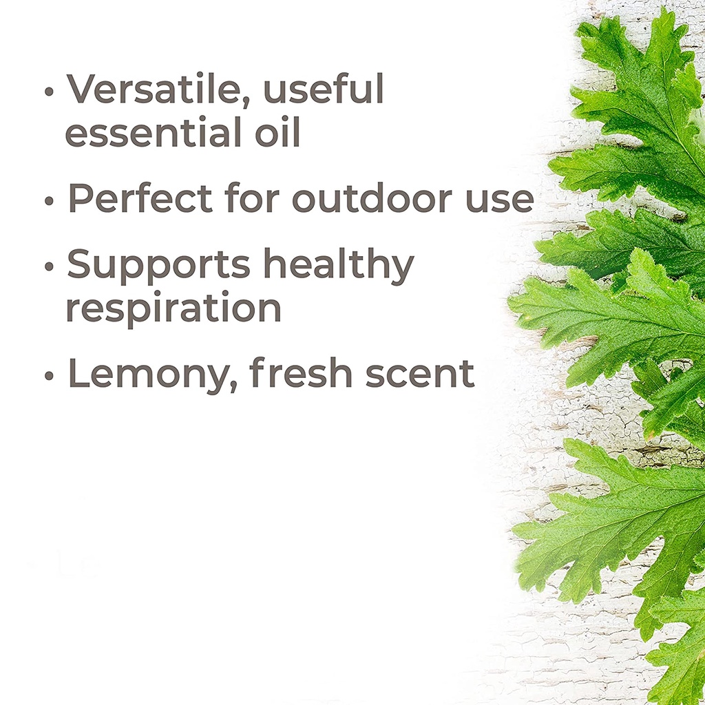 Plant Therapy - Tinh Dầu hữu cơ Sả Đỏ  - Organic Kidsafe essential oil
