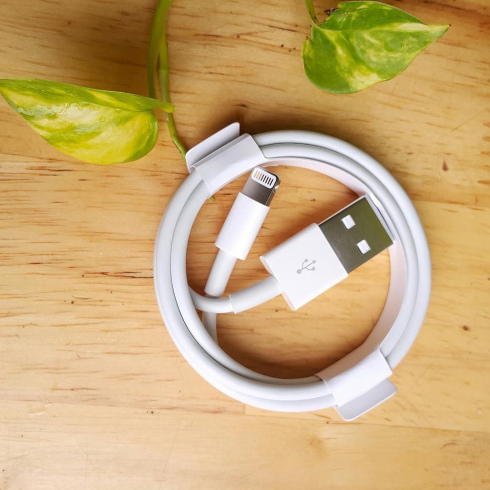 Dây sạc iphone zin cao cấp | BigBuy360 - bigbuy360.vn