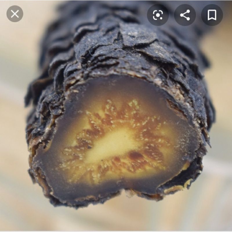 Nhục Thung Dung nguyên chất loại 1