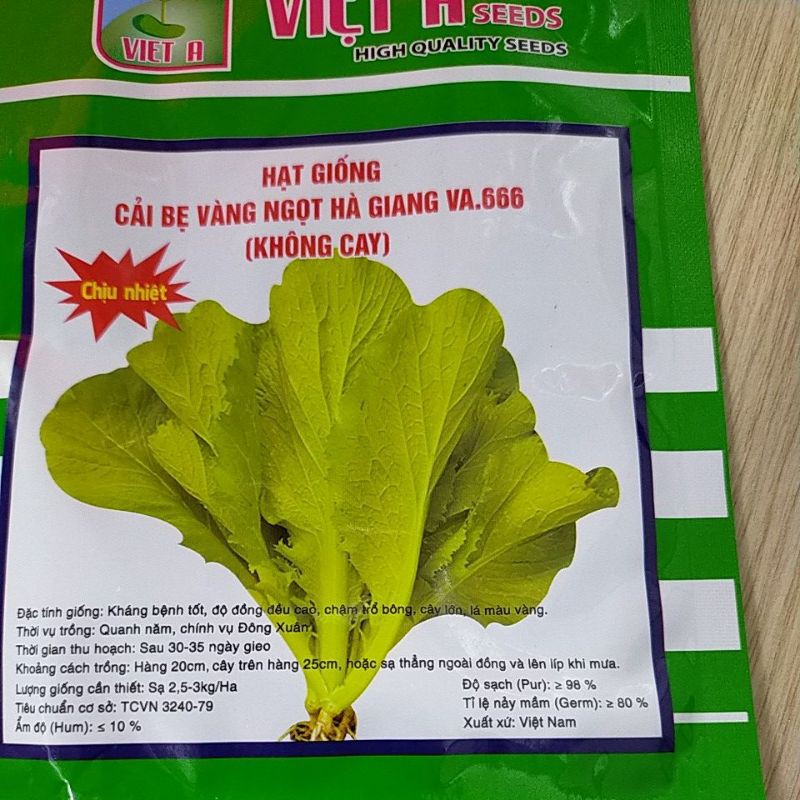 CẢI BẸ VÀNG NGỌT HÀ GIANG VA.666
