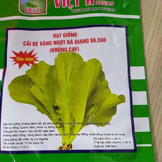 CẢI BẸ VÀNG NGỌT HÀ GIANG VA.666