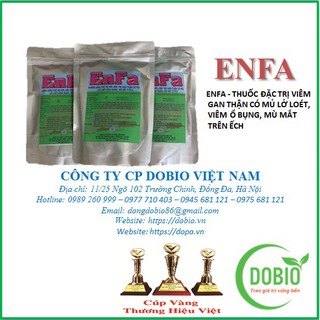 ENFA - PHÒNG VIÊM GAN THẬN CÓ MỦ LỞ LOÉT, VIÊM Ổ BỤNG, MÙ MẮT TRÊN ẾCH