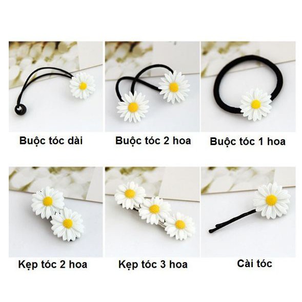 Buộc Tóc - Cài Tóc Hoa Cúc Hàn Quốc   🍀 Clovershop68 🍀