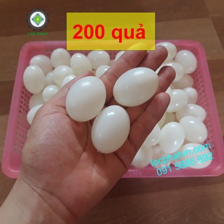 Combo 200 QUẢ TRỨNG NHỰA Cho Chim Bồ Câu, trứng nước, trứng chim bồ câu giả 200TN-TR