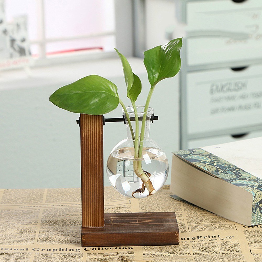 Set bình thủy tinh và khung gỗ dùng để trồng cây thủy canh trang trí nhà ở tinh tế hiện đại