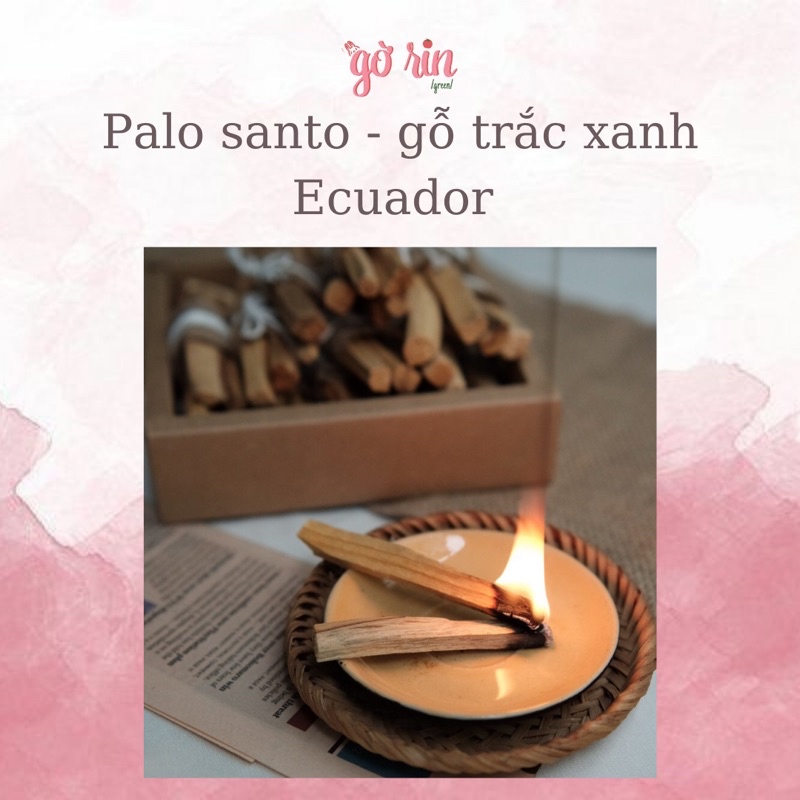 Palo santo - Gỗ trắc xanh Ecuador