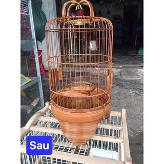 Nước Tẩy Lồng Chim Hoàng Long